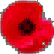 :carnation: