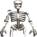 :SkeletonRotA: