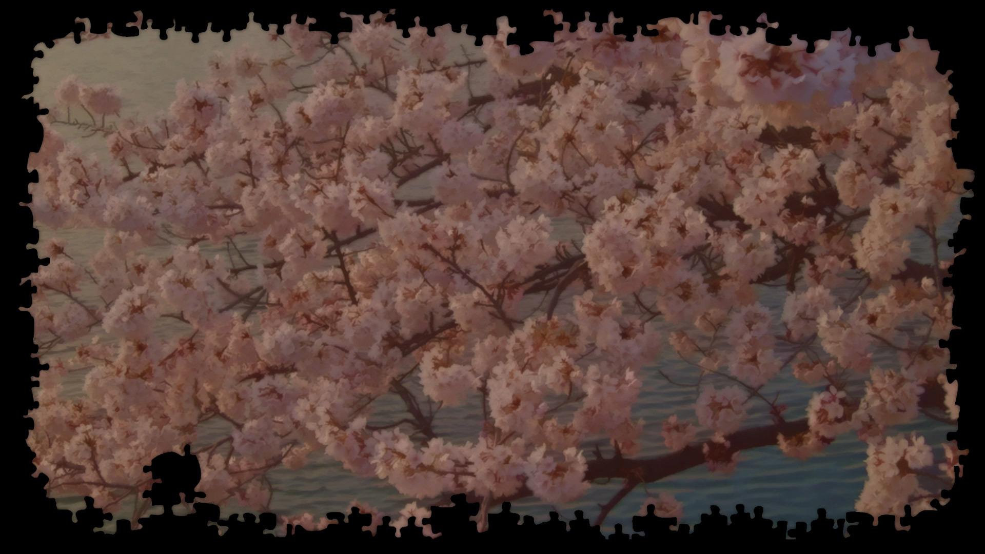 Cherry Blossoms Over Water