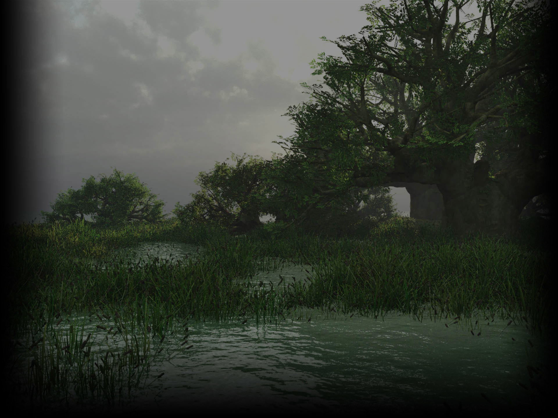 Swamp At Dusk