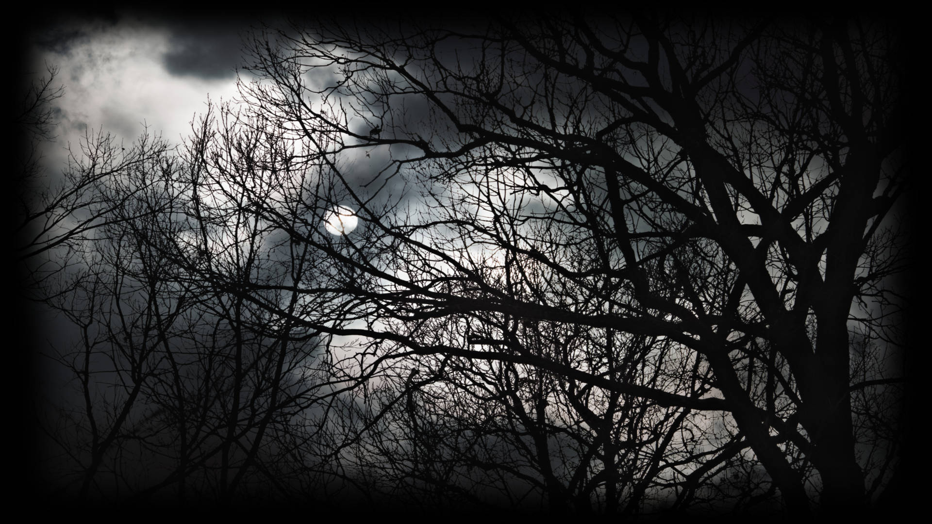 407750-Cold Dark Night