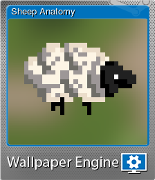 Sheep Anatomy (闪亮)