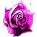 :rosebud: