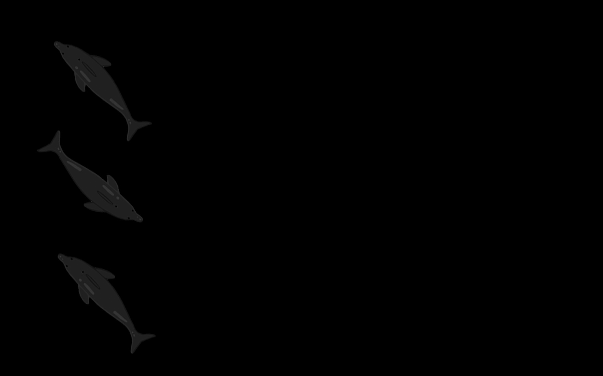 Dolphin (个人资料背景)