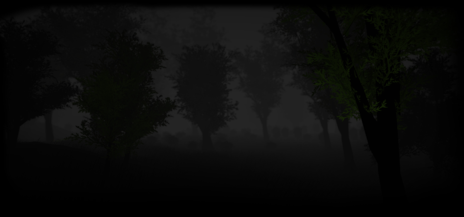 Dark Forest