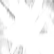 :Shattered: