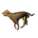 :straydog: