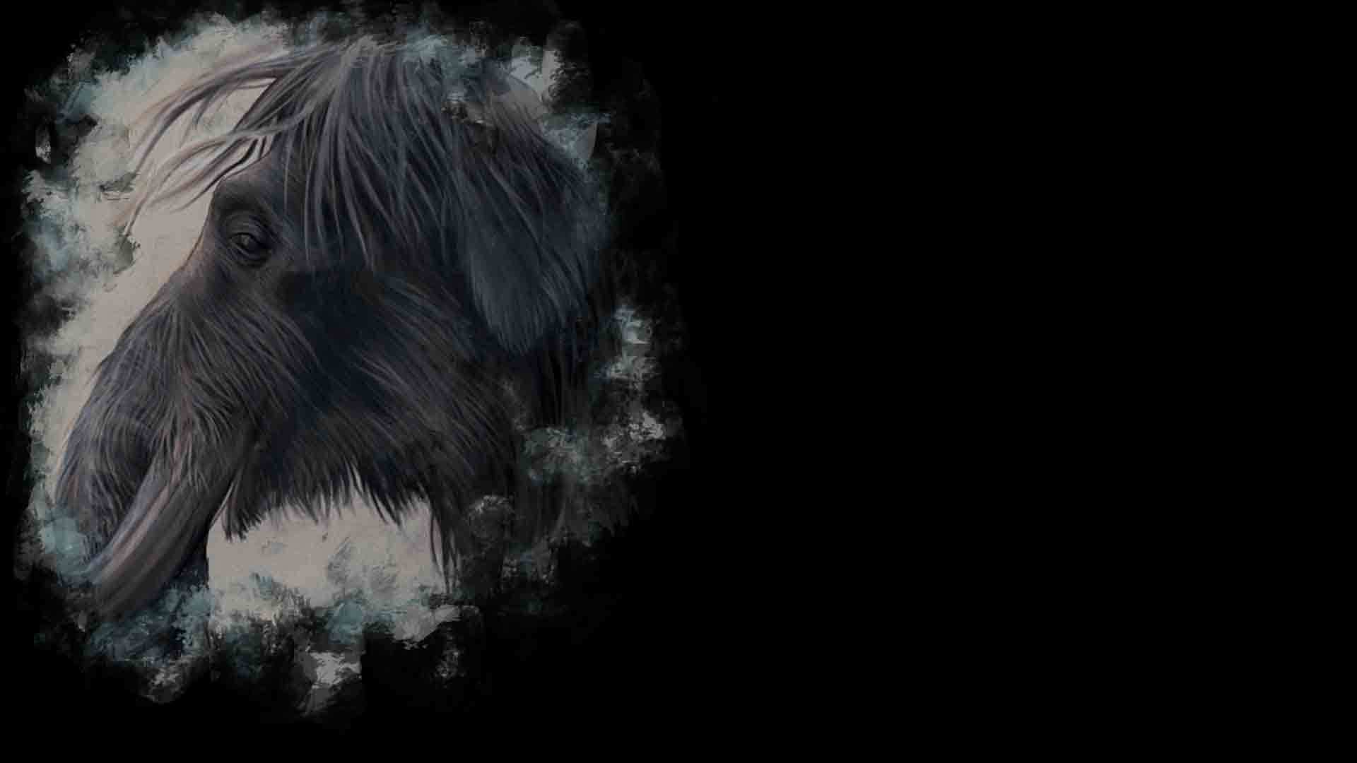 46510-Mammoth (Profile Background)