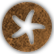:starfishfuel: