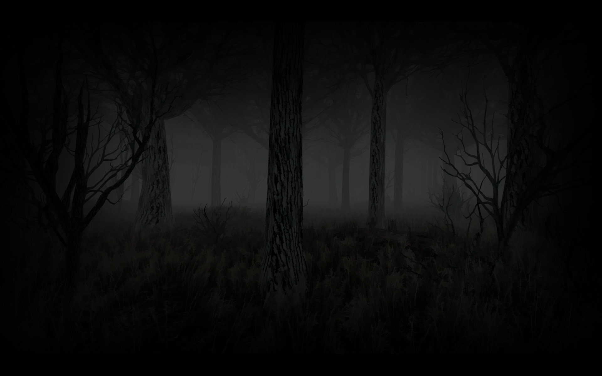 511340-Dead forest