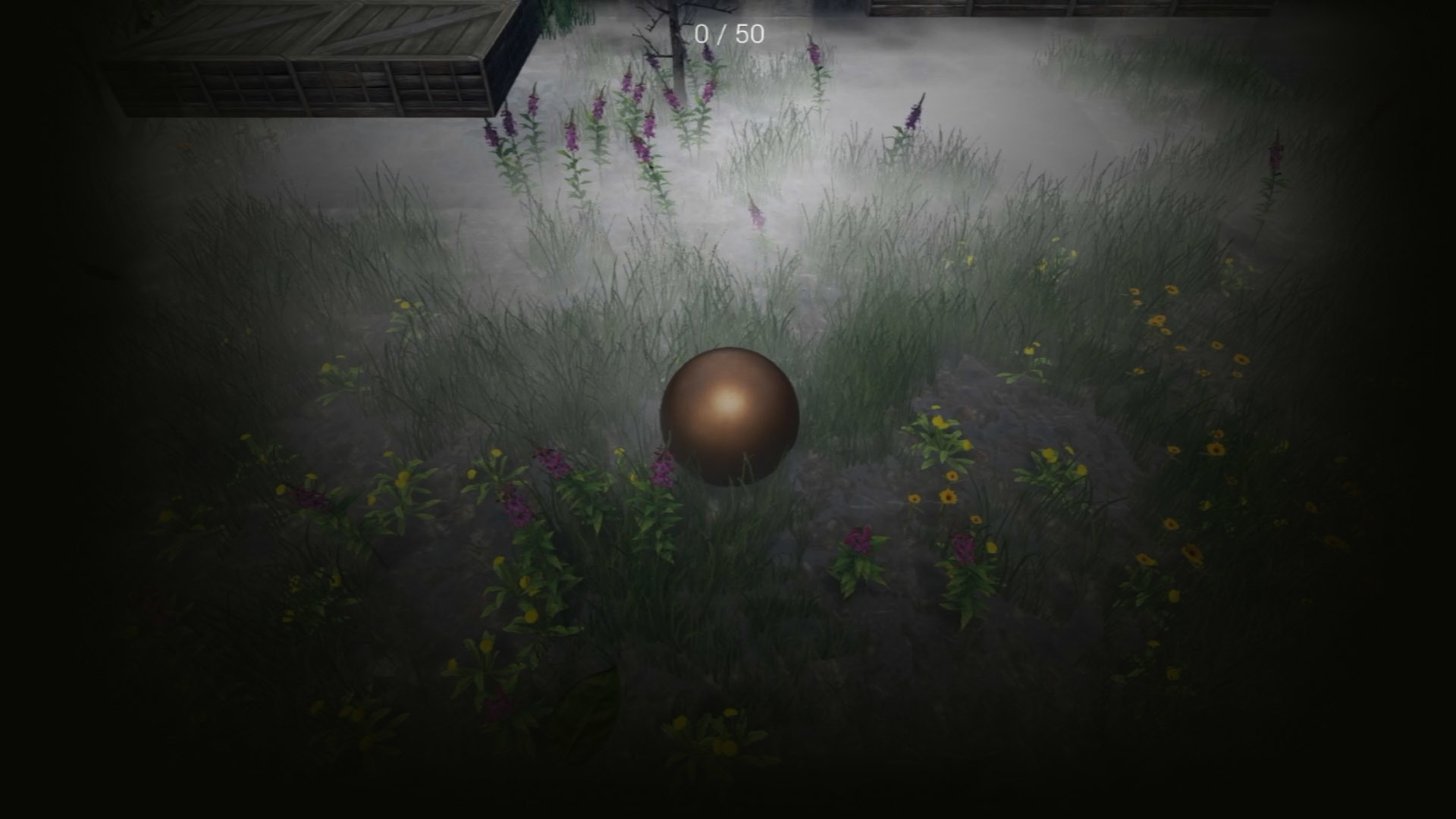 Field in fog