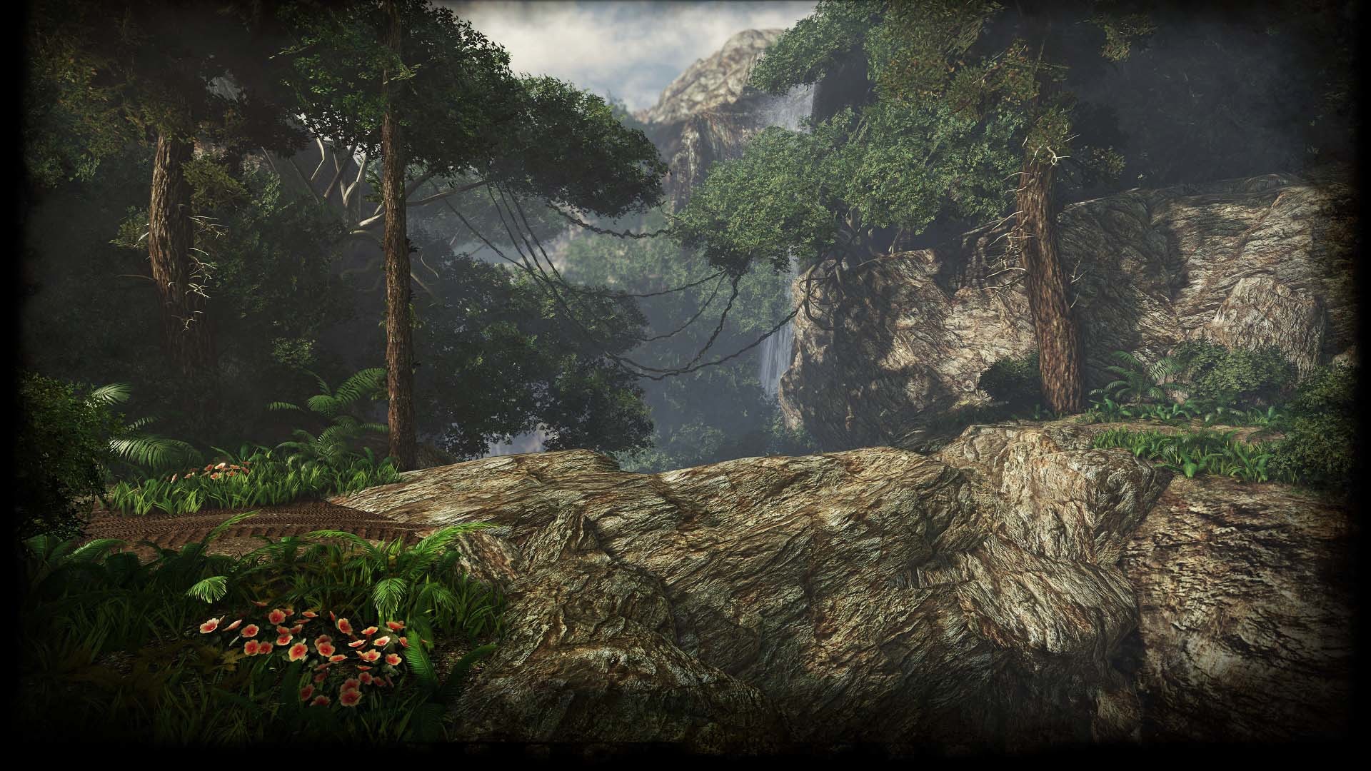 Forest Chasm