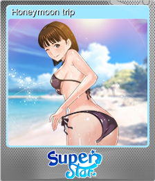 Honeymoon trip (闪亮)