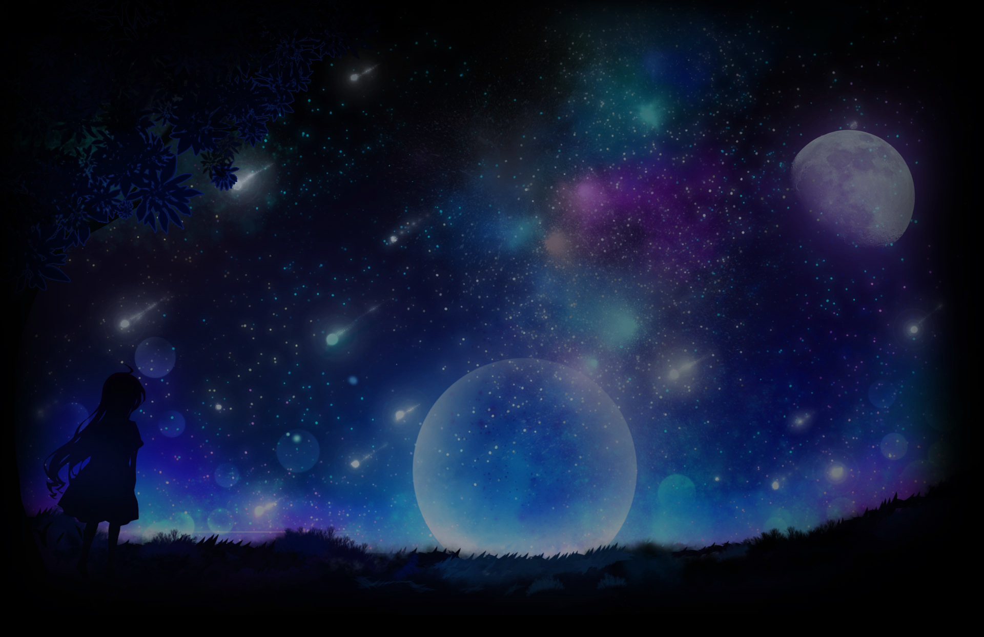 Under the Starry Sky