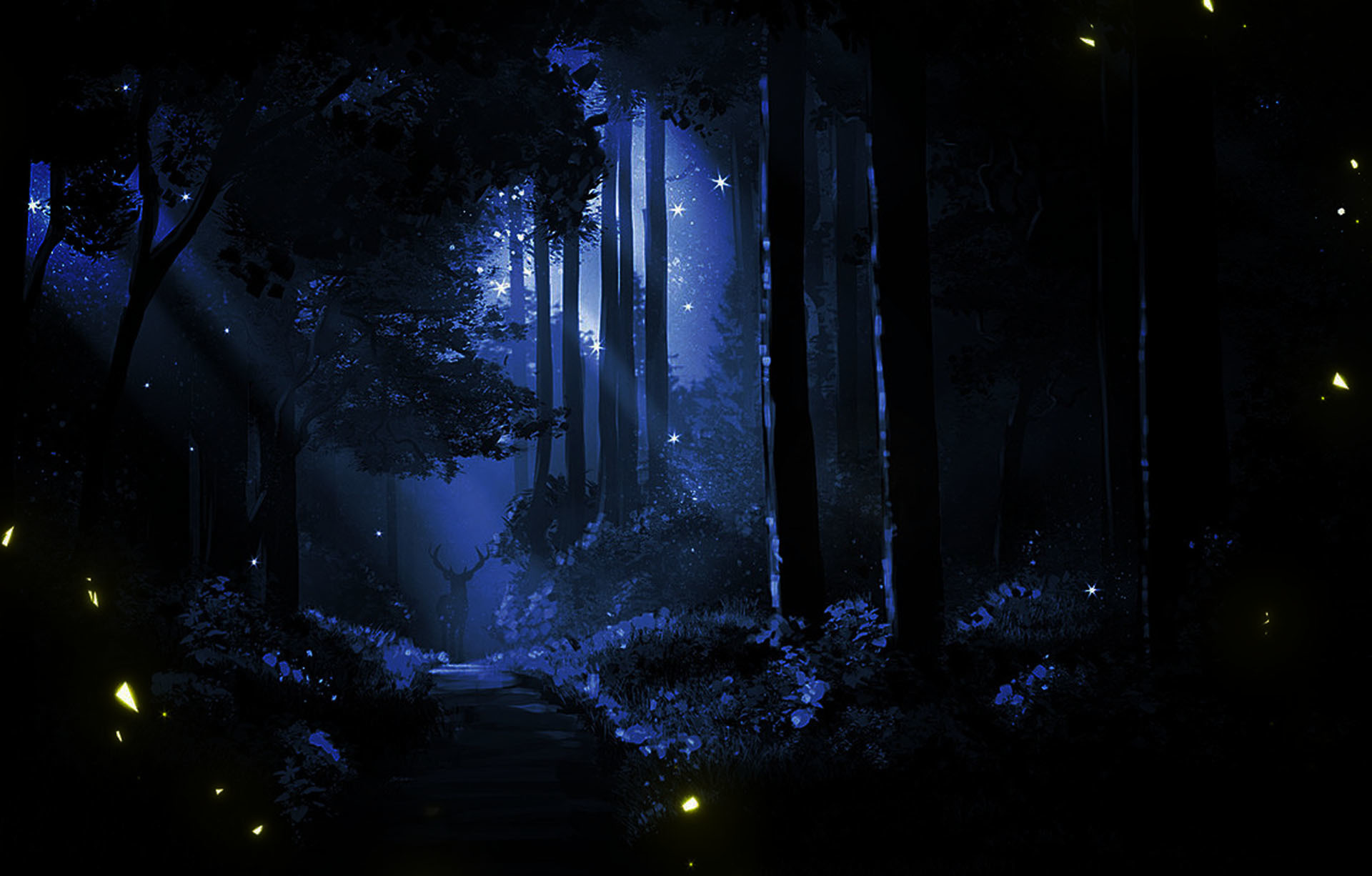 Night Forest