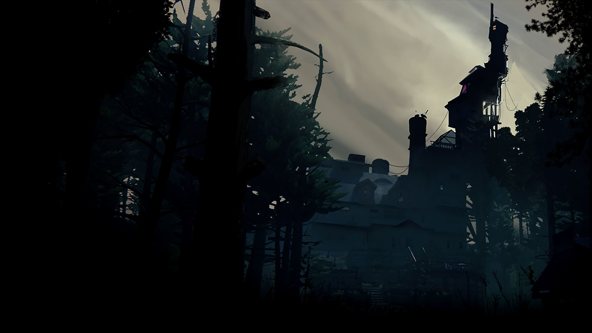 The House