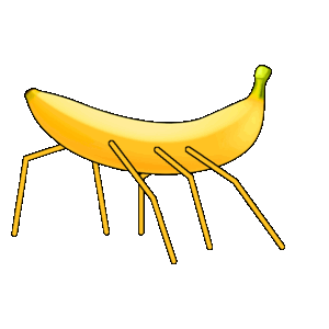 Stickbugnana
