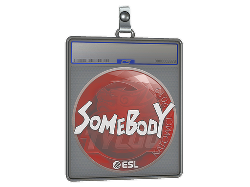 印花板 | somebody | 2019年卡托维兹锦标赛