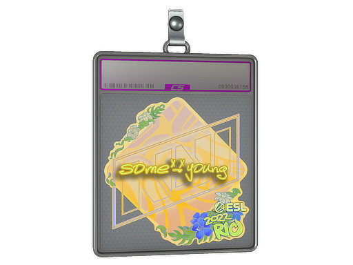 Sticker Slab | sdy (Holo) | Rio 2022