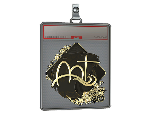 印花板 | arT（金色）| 2022年里约热内卢锦标赛