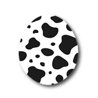Cow Egg