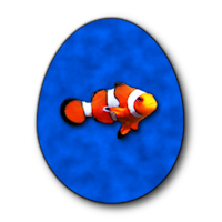 Clownfish Egg