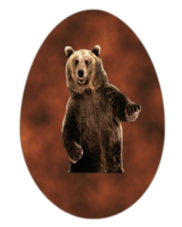 Bear Egg