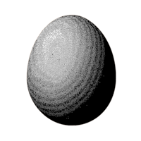 Black & White Egg