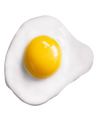 Fried Egg
