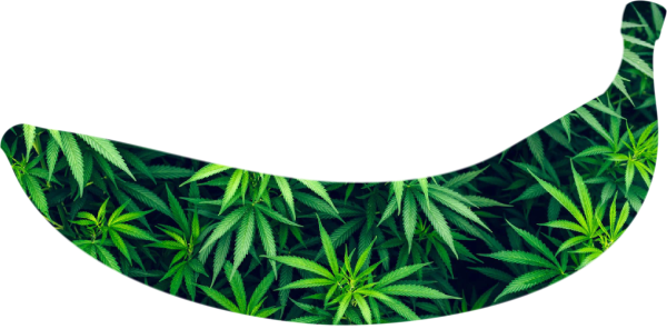 Bananakush