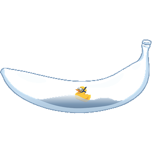 Duck in a banottle