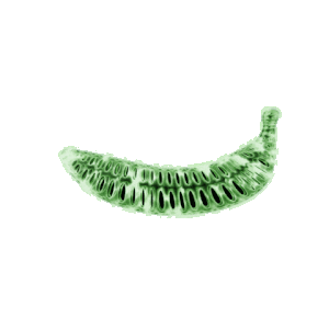 Unstablenana