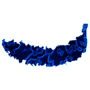 Vortexnana