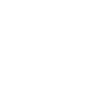 闪耀 Tundra Esports战队贴纸 - 2022年TI