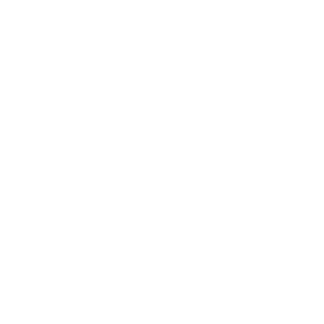 Holo Team Secret Team Sticker - TI 2022