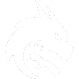 Team Spirit战队贴纸 - 2024年TI