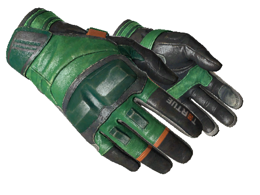 ★ Moto Gloves | Turtle (Well-Worn)
