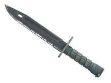 Bayonet | Night