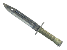 Bayonet | Stained