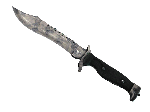 ★ Bowie Knife | Stained (Battle-Scarred)