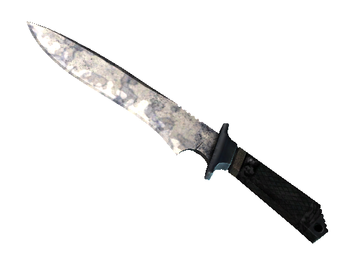 ★ Classic Knife | Stained (Well-Worn)