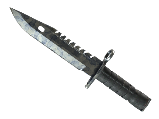 ★ StatTrak™ M9 Bayonet | Stained (Well-Worn)