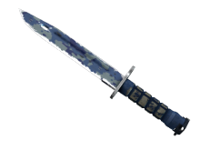 Bayonet | Bright Water