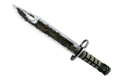 Bayonet | Forest DDPAT