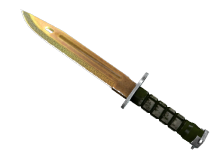 Bayonet | Lore