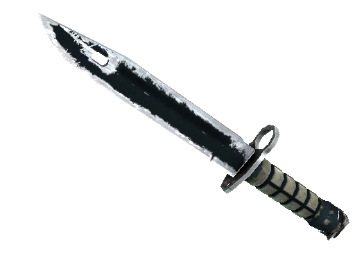 ★ StatTrak™ Bayonet | Night (Battle-Scarred)