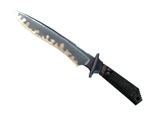 ★ StatTrak™ Classic Knife