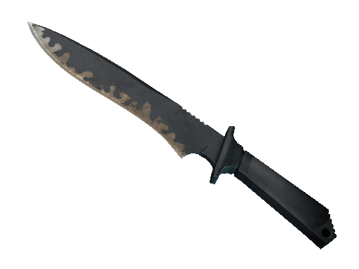 ★ StatTrak™ Classic Knife | Night Stripe (Field-Tested)