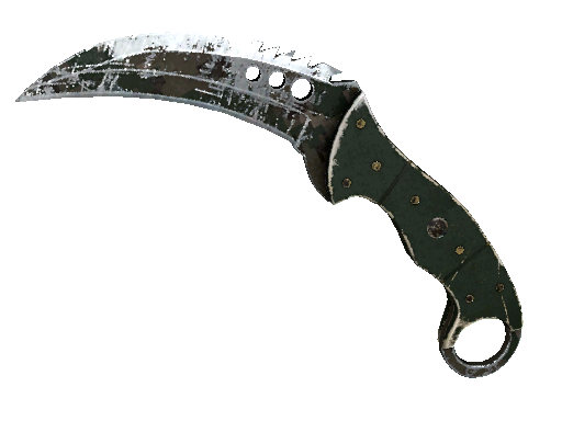 ★ StatTrak™ Talon Knife | Forest DDPAT (Battle-Scarred)