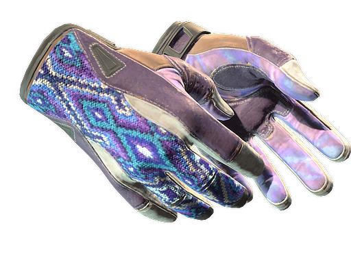 ★ Sport Gloves | Violet Beadwork (Well-Worn)
